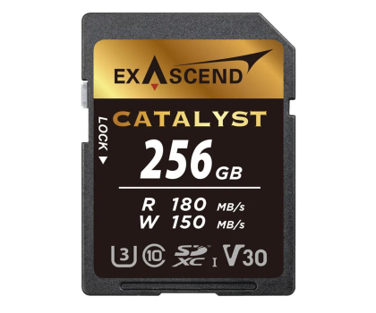 Karta pamięci ExAscend  EX256GSDU1
